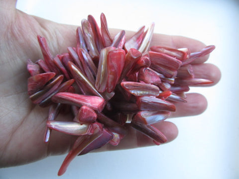 Pink Shell Strand