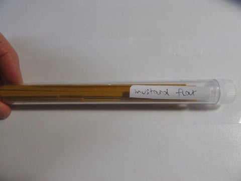 Mustard FLAT Filato