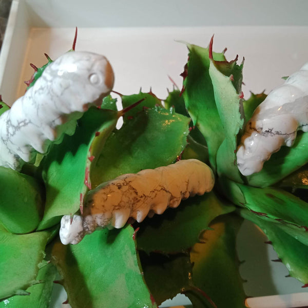Army of caterpillars