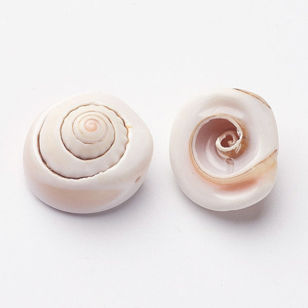 Natural Spiral Shell Beads