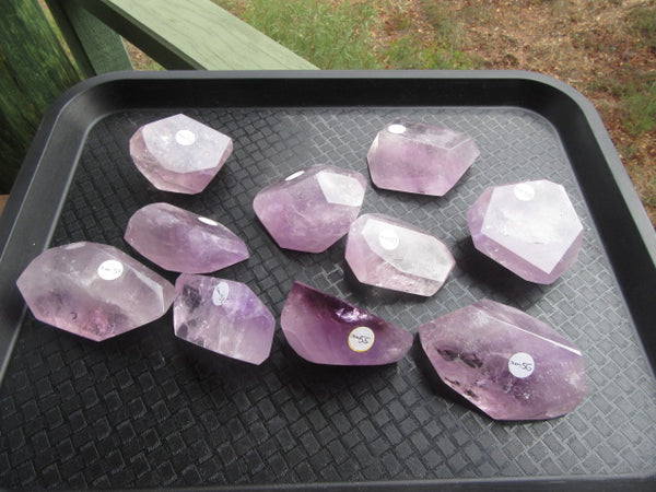 Amethyst Palm Crystal 50