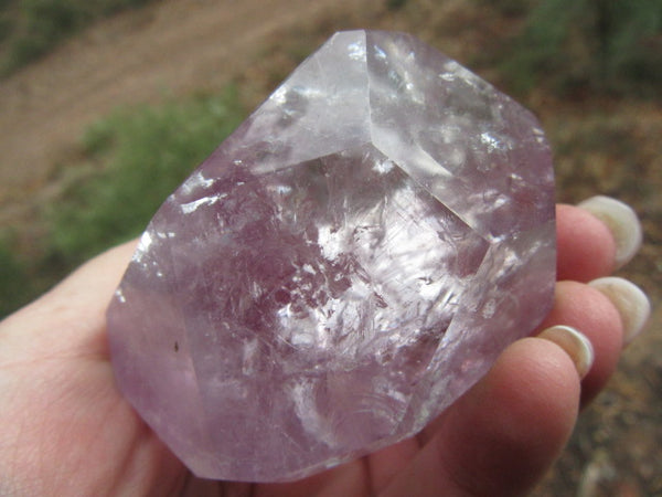 Amethyst Palm Crystal 50