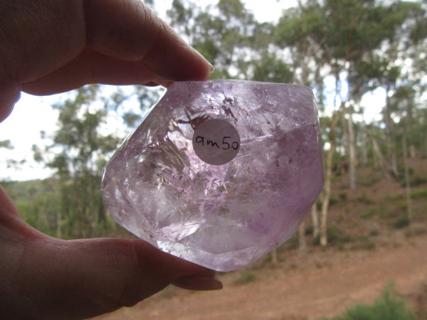 Amethyst Palm Crystal 50