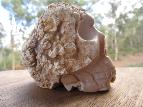 Magnesite Skull 52