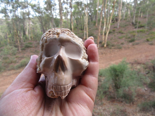 Magnesite Skull 52