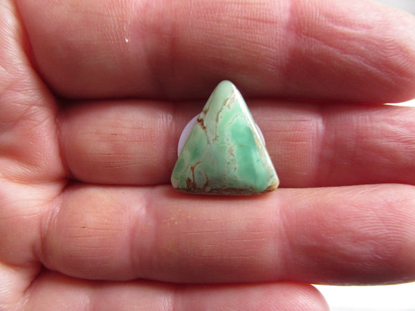 Variscite Cabochon 2