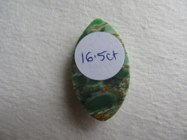 Variscite Cabochon 12