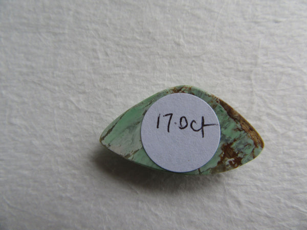 Variscite Cabochon 37