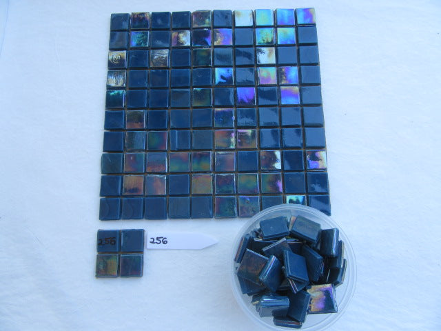VGT256 Vibrant Glass Tile