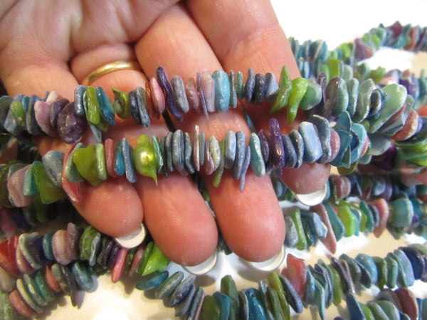 Many colours shell strand