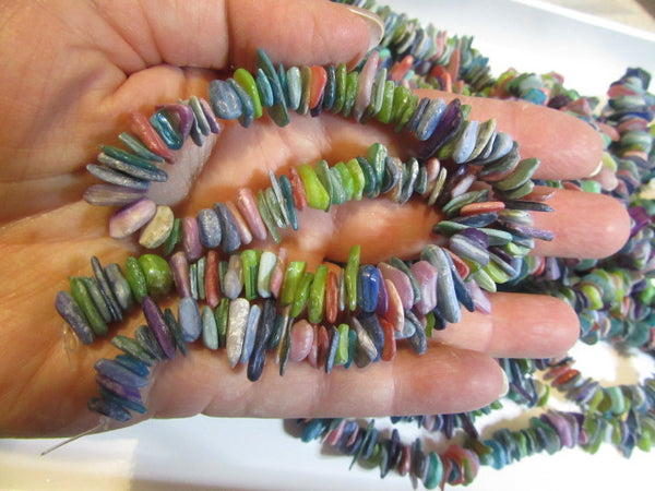 Many colours shell strand