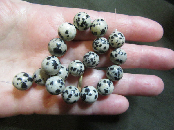 Dalmation Jasper round beads