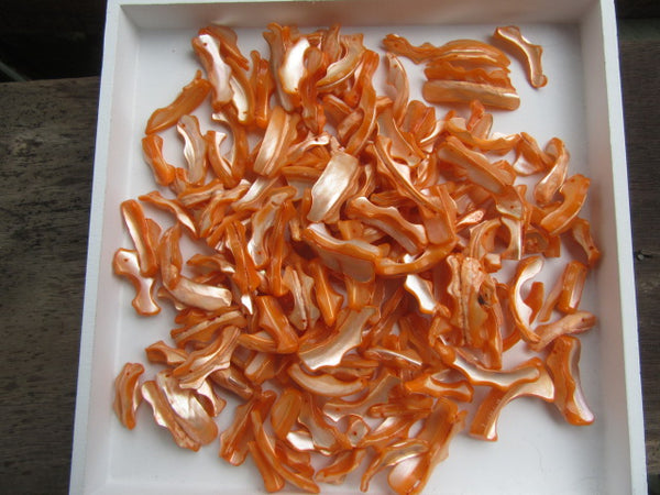 Orange shell pieces