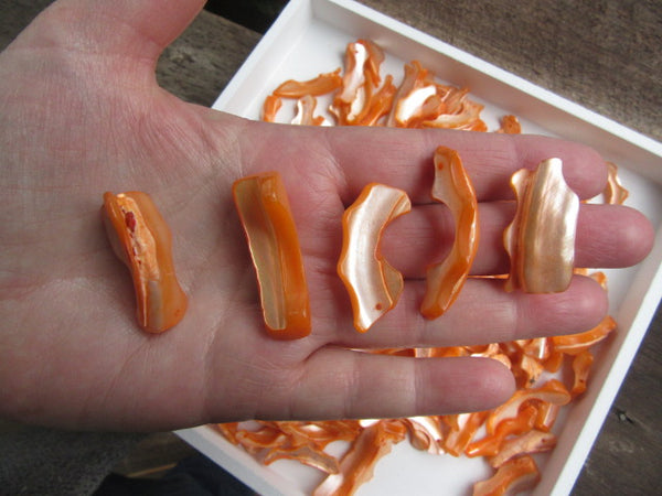 Orange shell pieces