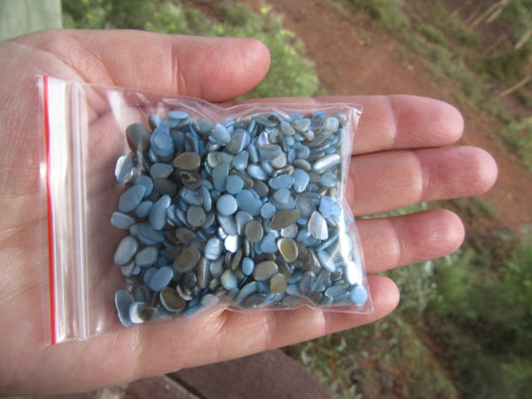 Shell beads-Pretty Blue