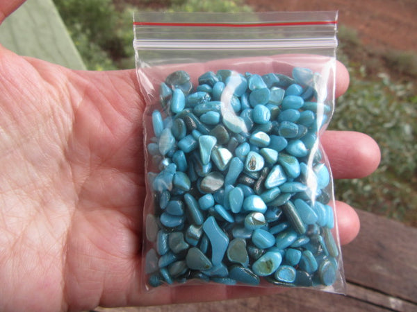 Shell beads-Teal