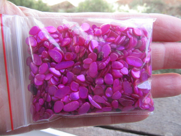 Shell bead-Shocking Pink