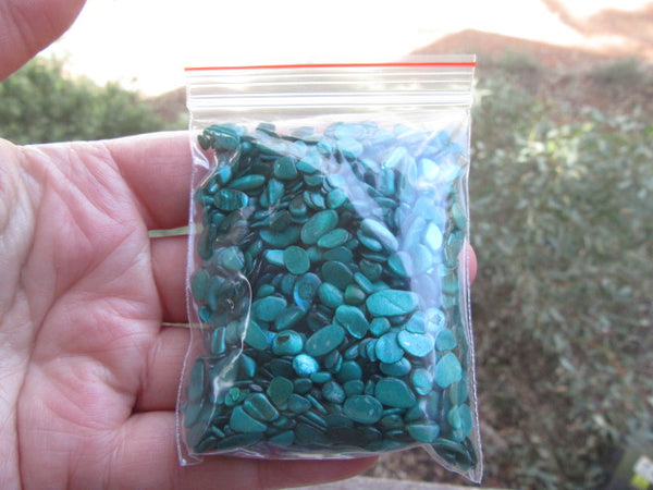 Shell bead-Emerald