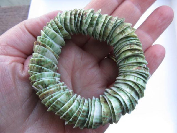 Circle of Green Shells