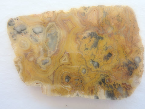 cla58 Crazy Lace Agate